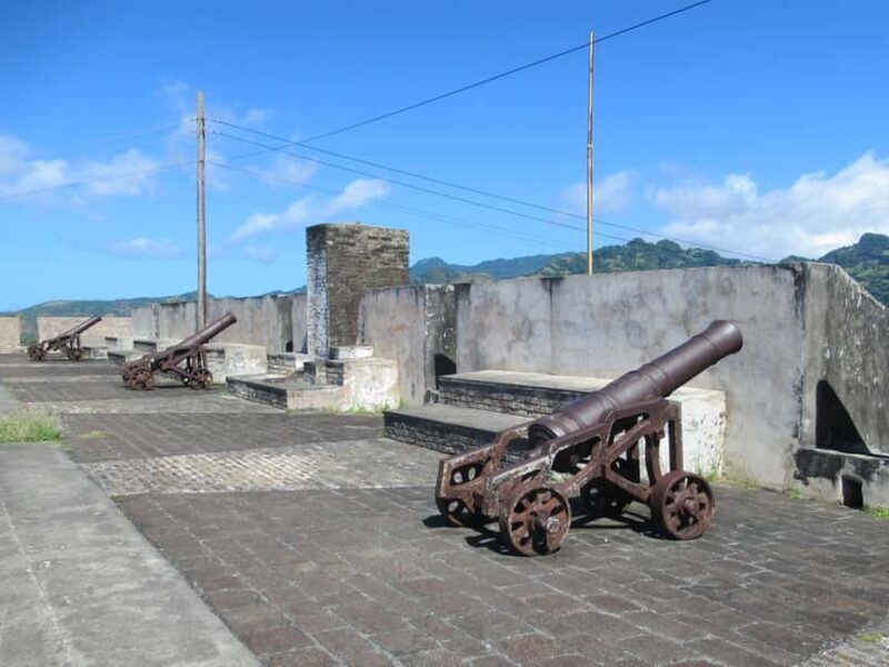 Dark View Falls Tour with Trubb Taxi Tours SVG - Final Thoughts