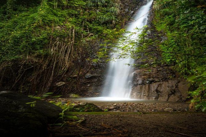 Dark View Falls Tour with Trubb Taxi Tours SVG - A Closer Look at the Itinerary