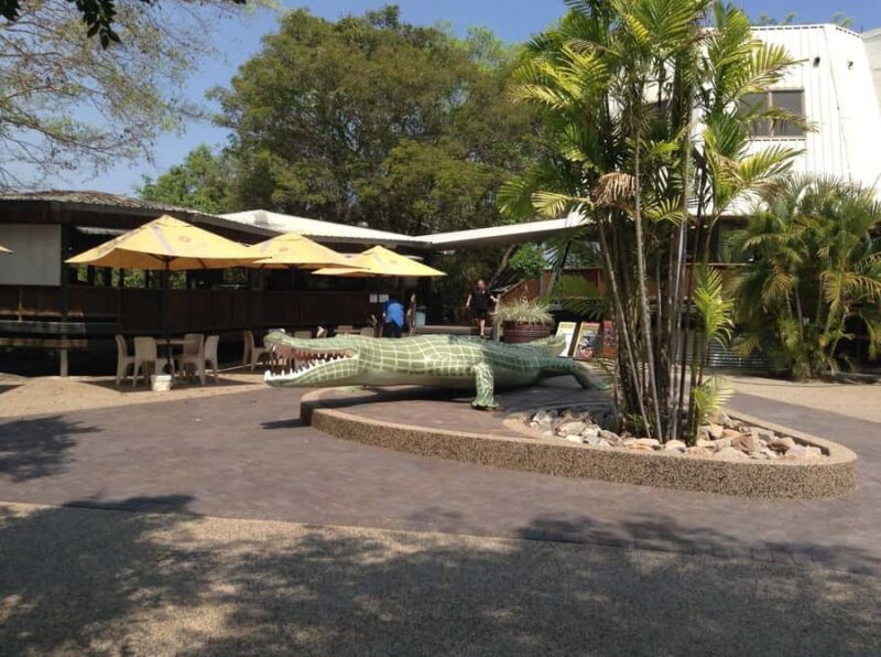 Darwin: Adelaide River Queen Original Jumping Crocodiles - The Experience: What to Expect