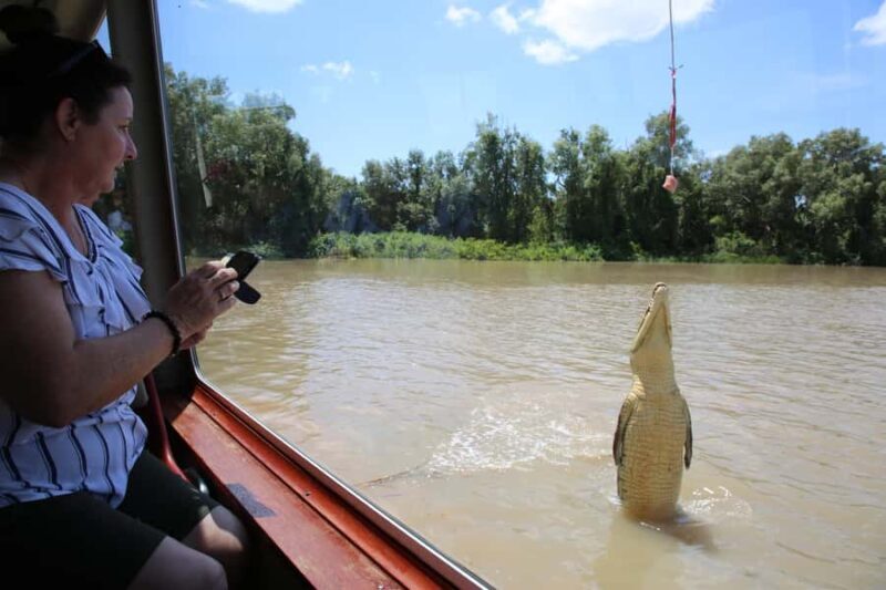 Darwin: Adelaide River Queen Original Jumping Crocodiles - Who Is This Tour Best For?
