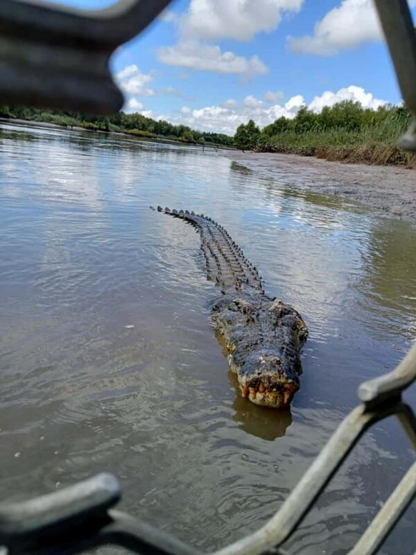 Darwin and Crocodile Tour - Frequently Asked Questions