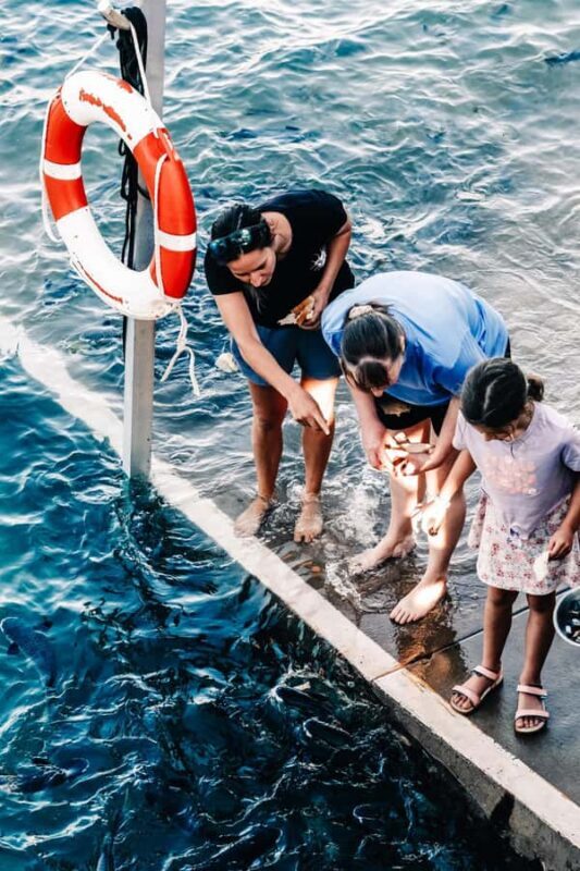 Darwin: Aquascene Fish Feeding Experience - Key Points