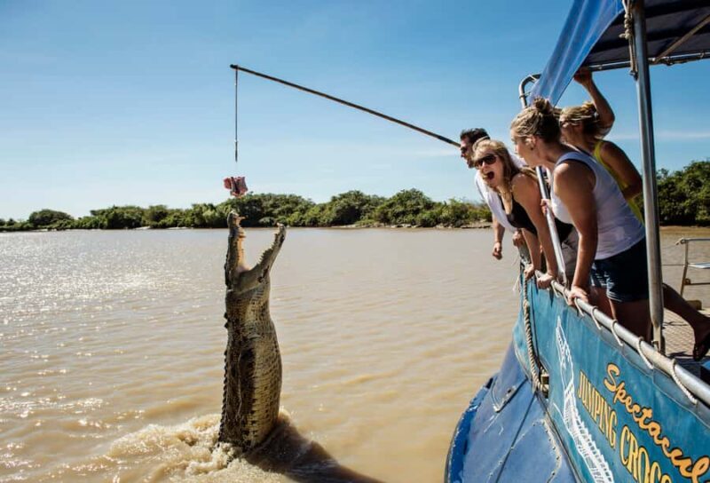 Darwin: City Sights and Jumping Crocodile Cruise - Key Points