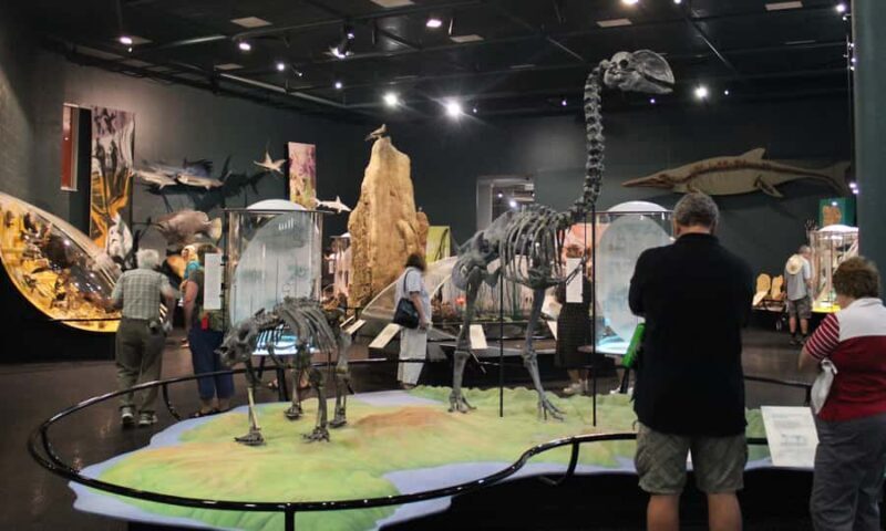 Darwin: City Sights and Jumping Crocodile Cruise - The Full Itinerary Breakdown