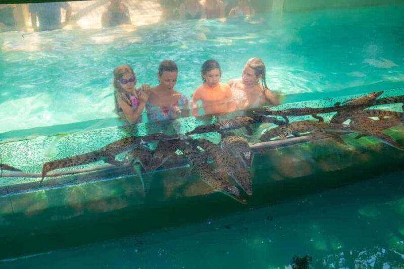 Darwin: Crocosaurus Cove Entry & Hop-on-Hop-Off Bus Tour - Exploring Darwin’s Wildlife at Crocosaurus Cove