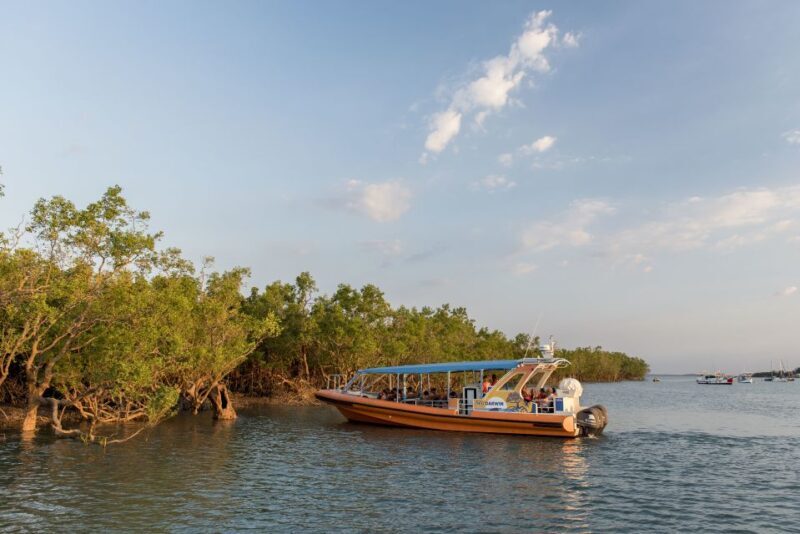 Darwin Harbour Cruise - FAQ