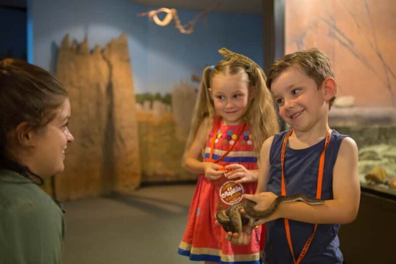 Darwin: Hop-On Hop-Off Bus, Crocosaurus Cove and RFDS Entry - Final Thoughts