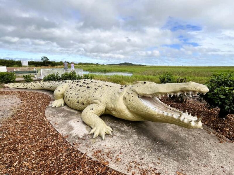 Darwin: Jumping Crocodile River Cruise with Shuttle Bus - Value and Price