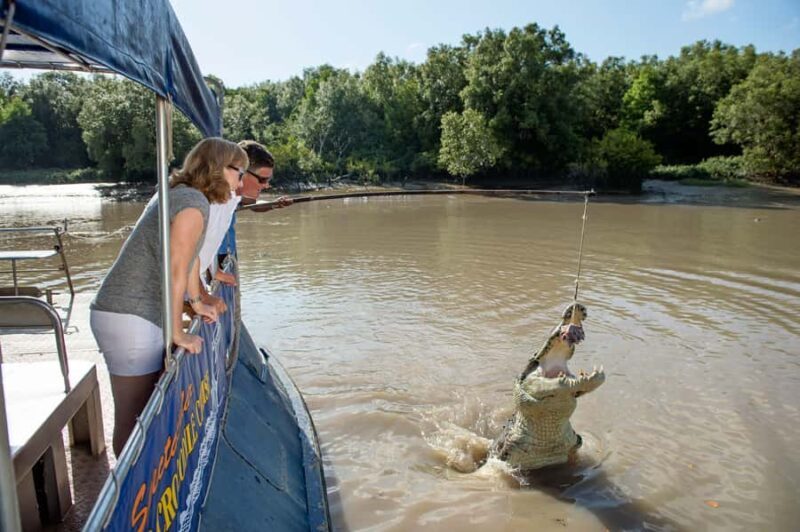 Darwin: Jumping Crocodile River Cruise with Shuttle Bus - Who Will Love This Tour?