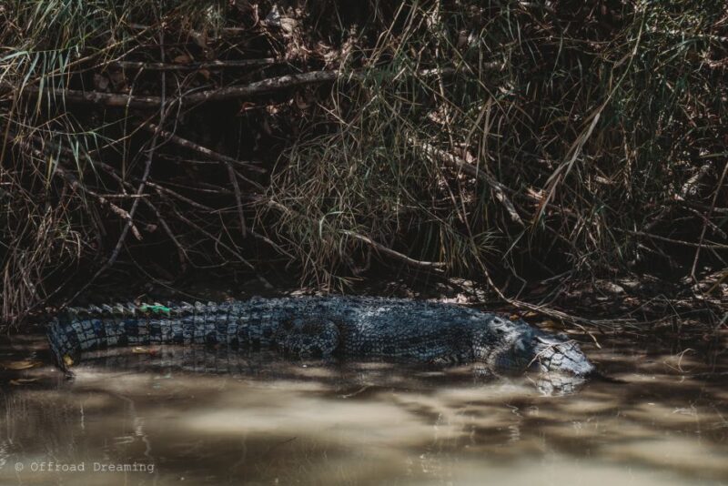 Darwin: Kakadu National Park Day Tour with Lunch - What the Reviews Say