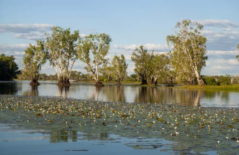 Darwin: Kakadu National Park Day Trip - An In-Depth Look at the Tour