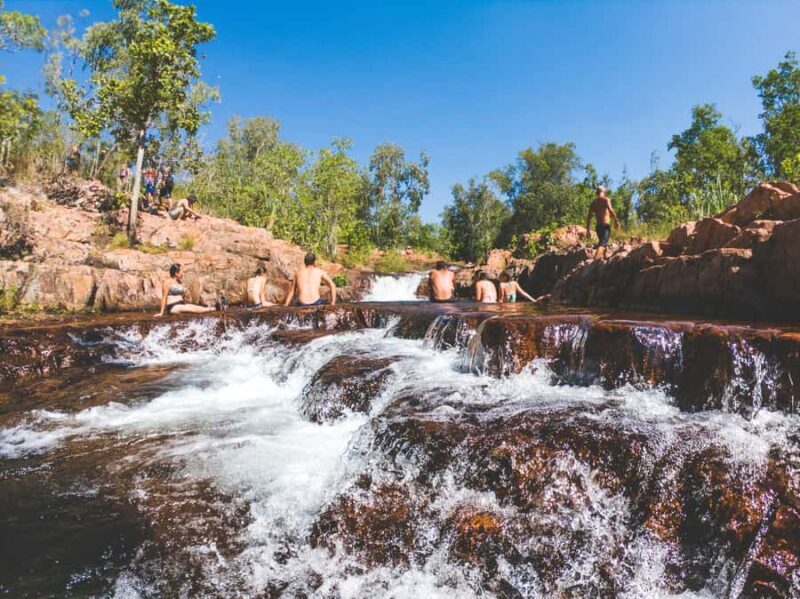 Darwin: Litchfield National Park Waterfalls & Wildlife Tour - Comfortable Transportation and Smooth Logistics