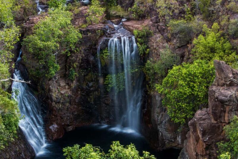 Darwin: Litchfield National Park Waterfalls & Wildlife Tour - Fogg Dam Conservation Reserve: Wetland Wonders
