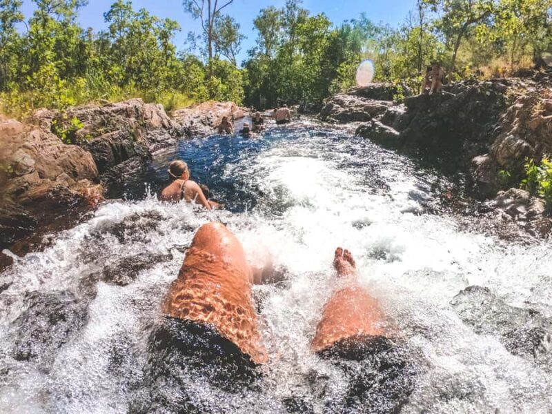 Darwin: Litchfield National Park Waterfalls & Wildlife Tour - Short Break in Batchelor