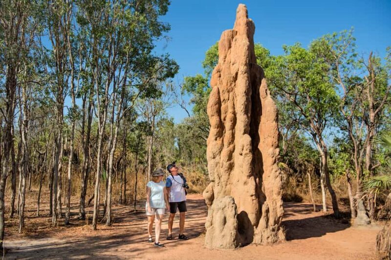 Darwin: Litchfield National Park Waterfalls & Wildlife Tour - Magnetic Termite Mounds: Gigantic Natural Art