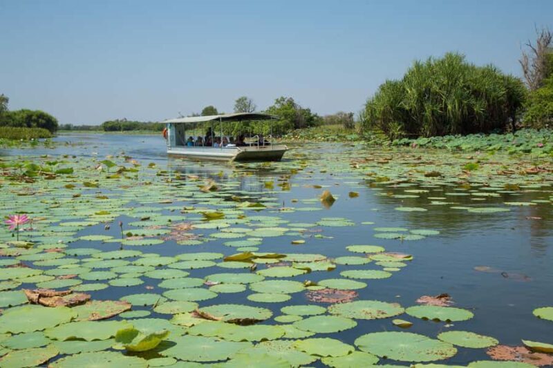 Darwin: Mary River Wetlands Wildlife Cruise with Lunch - Key Points