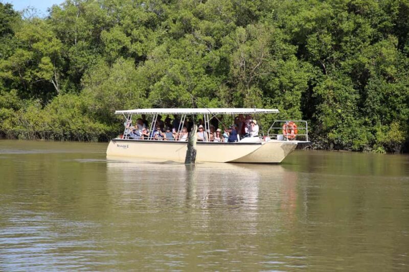 Darwin: Pathfinder Original Jumping Crocodile Cruise - The Authenticity and Safety of the Experience