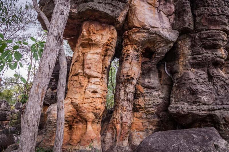 Darwin: PRIVATE Litchfield Park Sub-Tropical Escape - What Makes This Tour Stand Out?