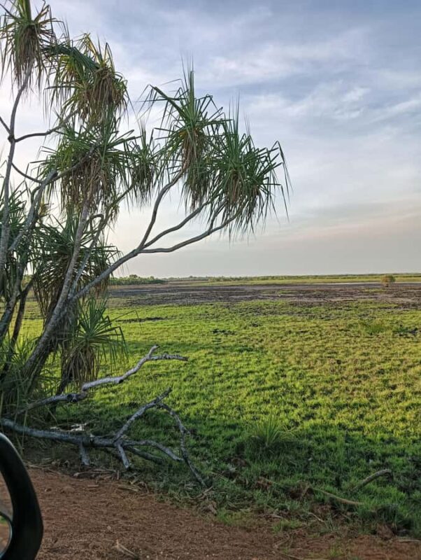 Darwin: PRIVATE Litchfield Park Sub-Tropical Escape - Who Should Consider This Tour?