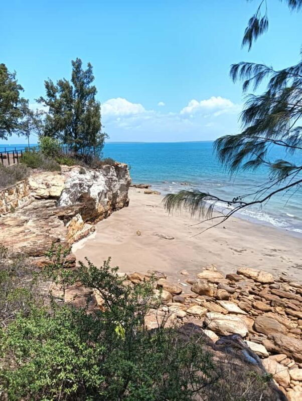 Darwin: Private Tour with Museums, Gardens & Lifestyle - Who Will Love This Tour?