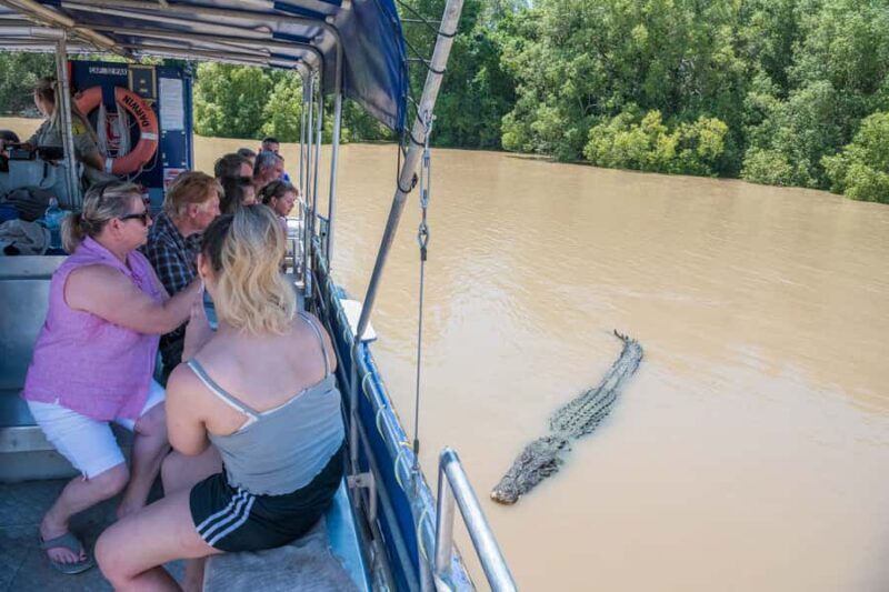 Darwin: Spectacular Jumping Crocodile Adelaide River Cruise - The Experience in Detail