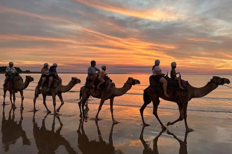 Darwin: Sunset Camel Ride along Mindil Beach - A closer look at the experience