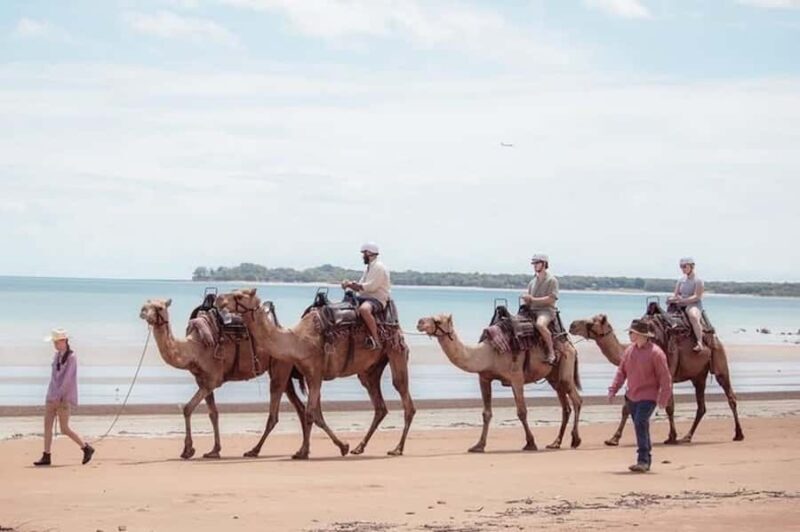 Darwin: Sunset Camel Ride along Mindil Beach - Who will love this experience?