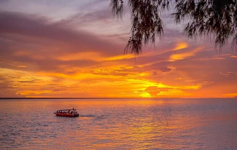 Darwin: Sunset Harbour Cruise with Fish and Chips Dinner - Key Points
