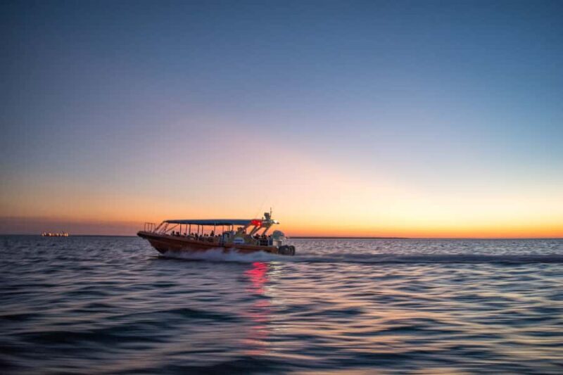Darwin: Sunset Harbour Cruise with Fish and Chips Dinner - The Food: Fresh Fish and a Casual Feast