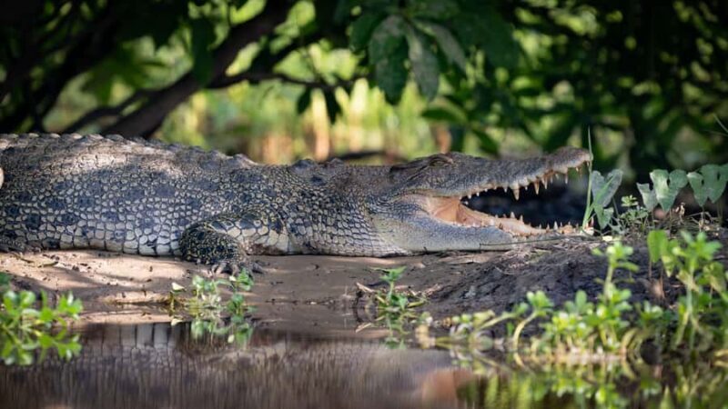 Darwin: Sunset Kakadu National Park with Yellow Water Cruise - The Cultural Centre – A Deeper Dive into Aboriginal Life