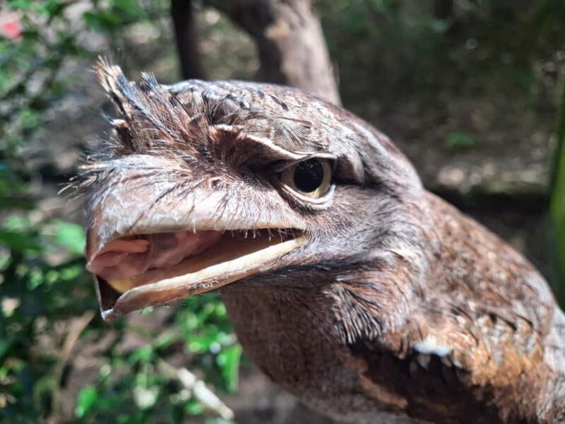 Darwin: Territory Wildlife Park Entry Ticket - Frequently Asked Questions