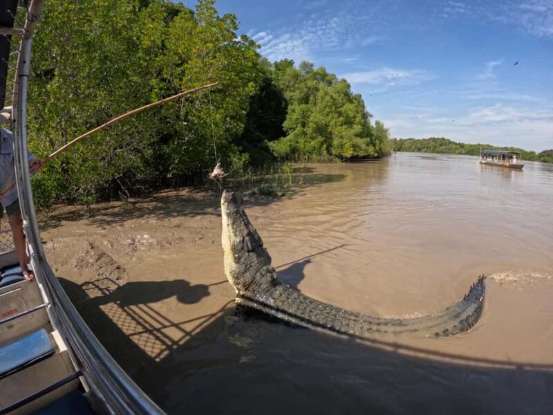 Darwin: The Croc Bus to the Famous Jumping Crocodile Cruise - The Itinerary and What to Expect