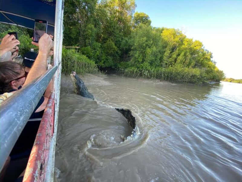 Darwin: The Croc Bus to the Famous Jumping Crocodile Cruise - FAQ