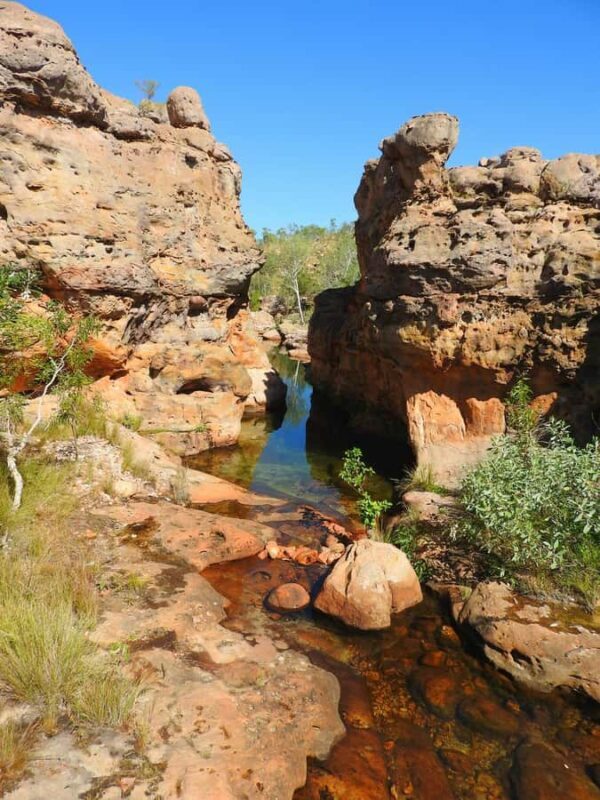 Darwin to Cairns: Kakadu & Gulf Savannah 11 Day Tour - An In-Depth Look at the Itinerary