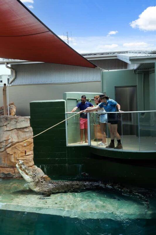 Darwin: VIP Crocosaurus Cove Experience - Key Points