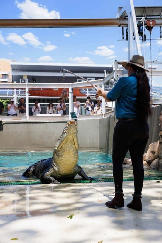 Darwin: VIP Crocosaurus Cove Experience - An In-Depth Look at the Darwin VIP Crocosaurus Cove Experience
