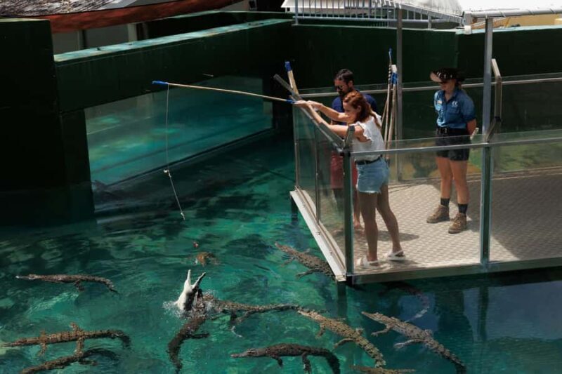 Darwin: VIP Crocosaurus Cove Experience - Final Thoughts