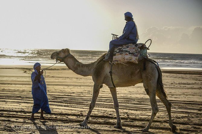 Day Camel Ride with Picnic on Essaouira's beach - Key Points