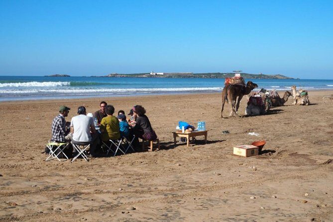 Day Camel Ride with Picnic on Essaouira's beach - Practical Details and Tips