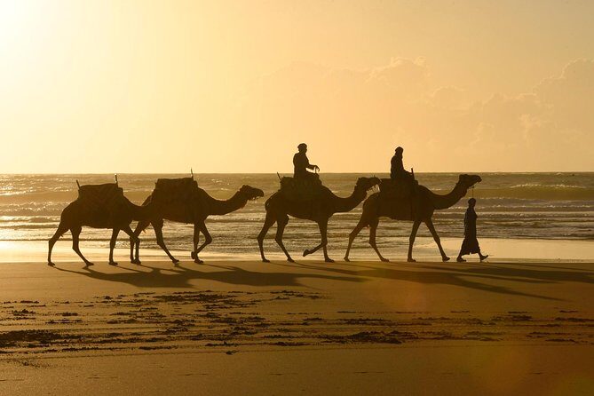 Day Camel Ride with Picnic on Essaouira's beach - Final Thoughts