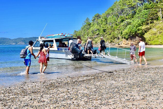 Day Cruise & Island Tour - Snorkel/Wildlife/Paddleboard/Islands - Key Points