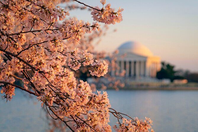 Day Escape to Nations Capital:Washington D.C. Day Trip from NYC - Frequently Asked Questions