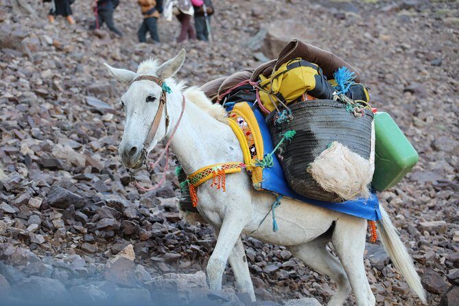 Day Excursion in the Atlas mountains - FAQ