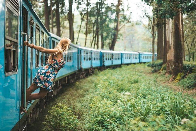 Day Excursions to Horton Plains & Local Train Experience from Ella - Introduction