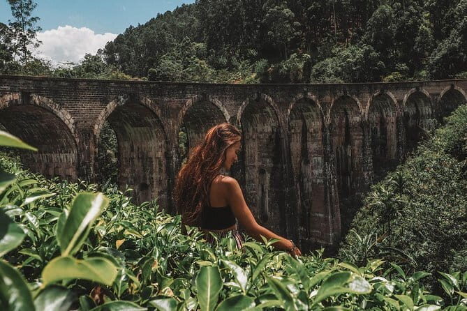 Day Excursions to Horton Plains & Local Train Experience from Ella - The Sum Up