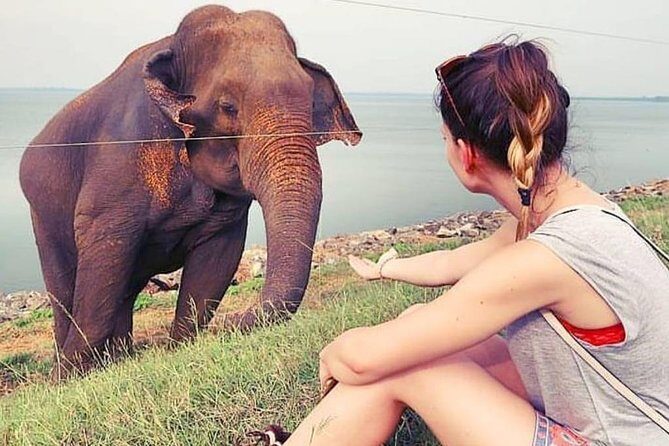 Day Excursions To Udawalawe National Park From Negombo - Exploring the Itinerary in Detail