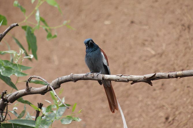 Day Hike Around Lalibela - How the Itinerary Unfolds