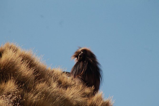 Day Hike Around Lalibela - What Past Travelers Say