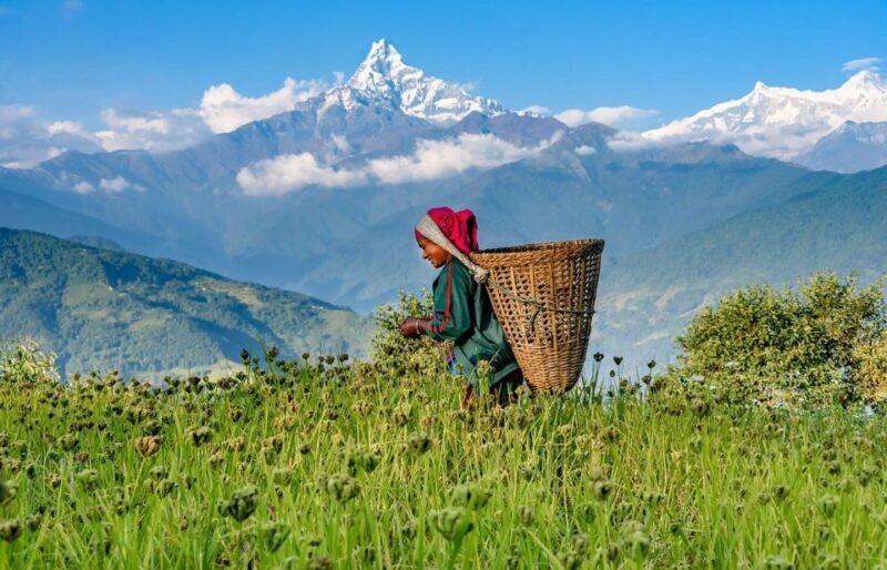 Day Hike at Annapurna Foothills - What You Can Expect at Each Stop