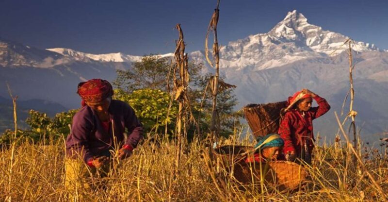Day Hike at Annapurna Foothills - The Sum Up: Who Should Consider This Tour?